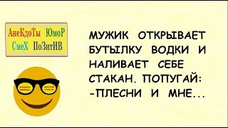 Анекдоты смешные! Короткие приколы! МУЖИК и ПОПУГАЙ    Юмор! Шутки! Смех! Позитив!