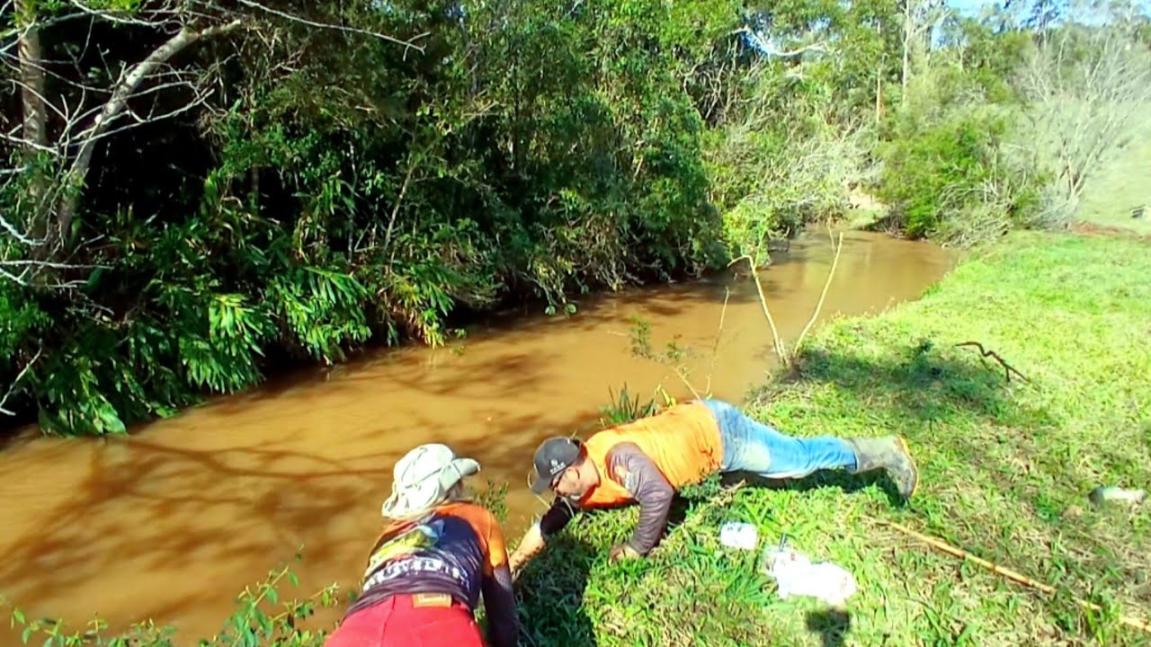  pescaria Raiz com vara de bambu RIO CHEIO DE PEIXES 