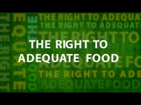The Right To Adequate Food HD