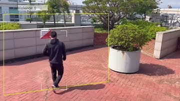 AGGRESSIVE DETECTION