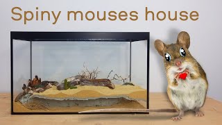 House for spiny mouse. NATURAL UNDERGROUND TERRARIUM.