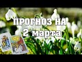 ✨ Карта дня ✨ Таро на завтра 2 марта 2021 💫  Гороскоп для всех знаков Зодиака  💫