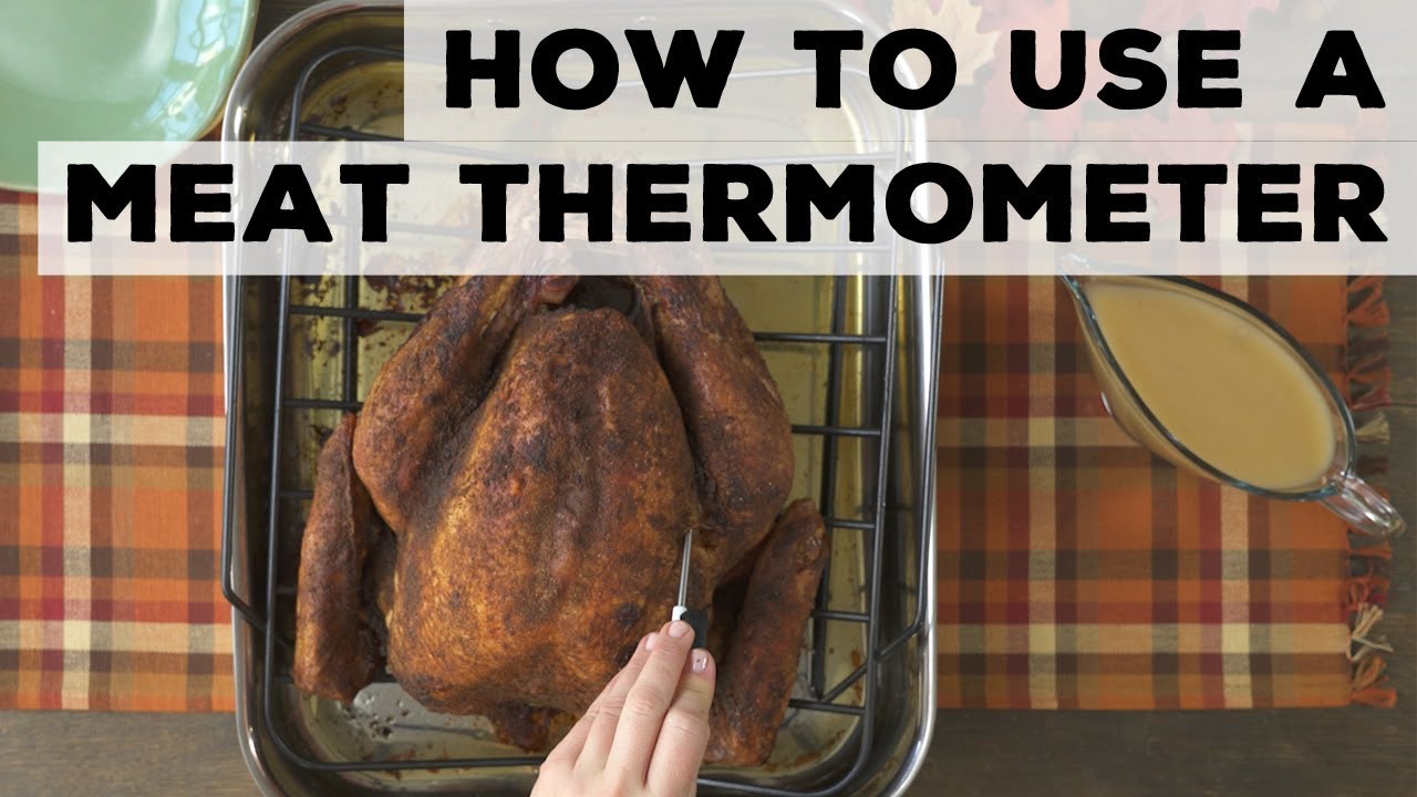 How to Use a Meat Thermometer | Food Network