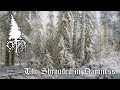 Grima - The Shrouded in Darkness (Official Track | Atmospheric Black Metal)