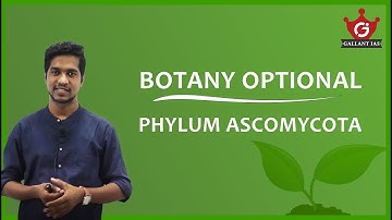 Phylum Ascomycota | Botany Optional | Gallant IAS