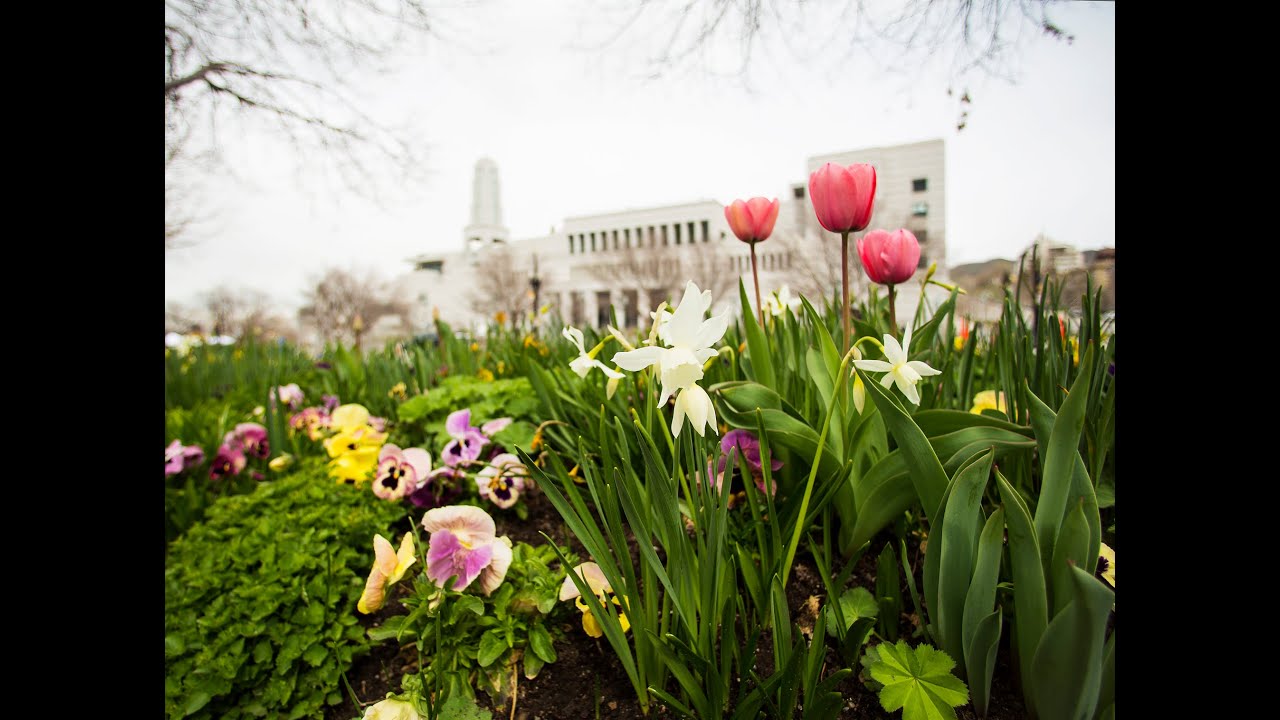 April 2015 General Conference - Sunday Sessions - April 2015 General Conference - Sunday Sessions