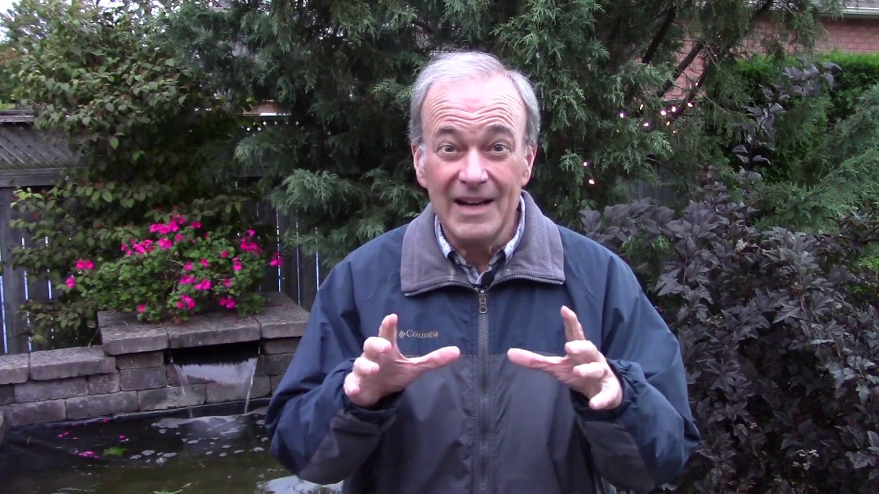 Things are not always as they appear