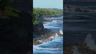MagiCXbeats - Honolulu Skys
