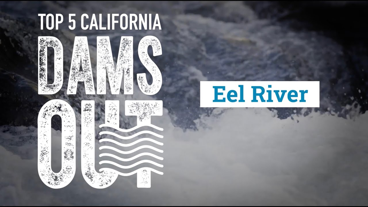 Eel River Dams   California Trout Top 5 Dams Out