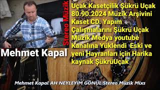 Mehmet Kapal Ah Neyleyi̇m Gönül Stereo Müzik Mixs