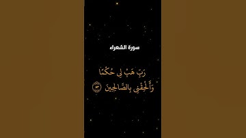 تلاوة #خاشعة ومؤثرة من سورة #الشعراء #صلوا_على_النبي #المصحف #اطمئن #لايك #اكسبلور #راحة_نفسية
