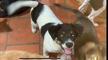 Hôm nay em tiêm ngừa mũi 2 cho 6 bé chút chít !!