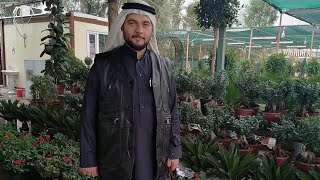 الروح خضرة و العشك ماليها | المداح ياسين محمد الفيصل جديد 2022
