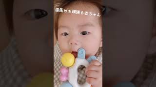 赤ちゃん／歯固めのおもちゃで遊ぶ