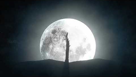 Time Lapse of a Growing Tree Against the Background of a Full Moon | Motion Graphics - Envato el...