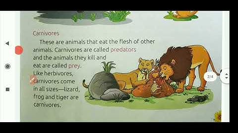 CBSE Class-3 chapter-7 (Animals around us) part-2