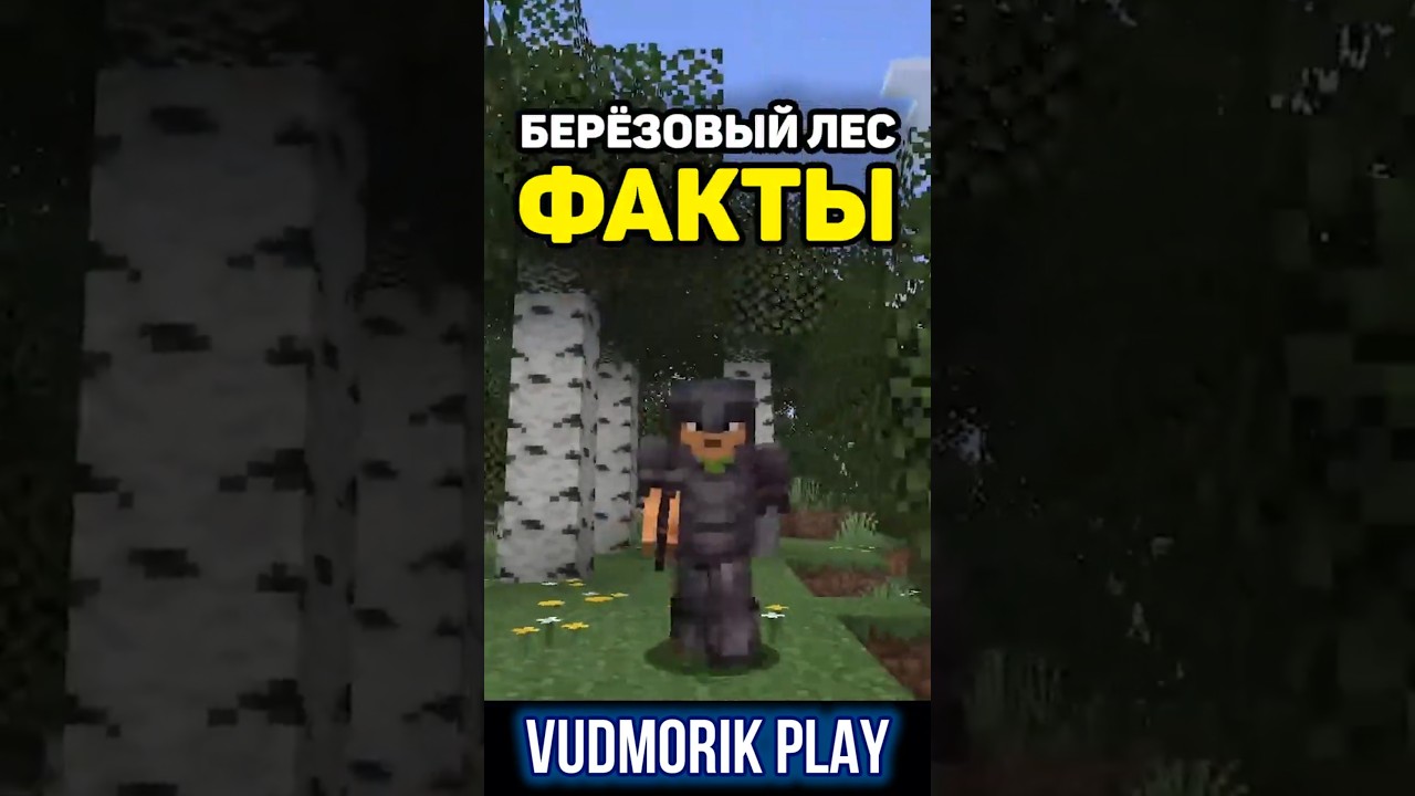 Секреты берёзового леса в Minecraft #5
