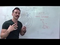Active Transport Mechanisms and Energy Dynamics in Cell Function