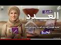 شرح كتابة العدد إعراب العدد إعراب تمييز العدد الصف الثالث الثانوي الصف الثانى الاعدادى 2026