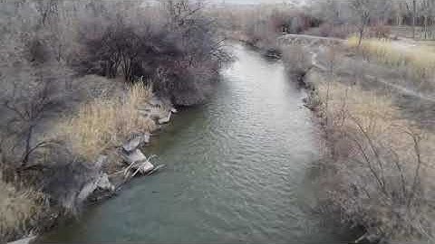 DJI Mini 2 Drone Crashes in Trees Over an Icy Colorado River - Will It Be Lost Forever?