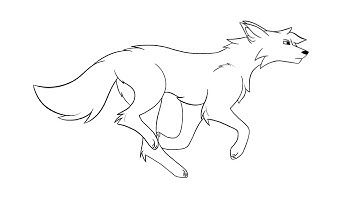 Wolf run cycle test animation || WIP