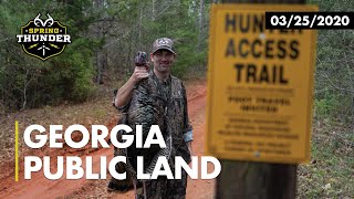 Georgia Public Turkey Hunting | Midday Gobbler | Realtree's Spring Thunder