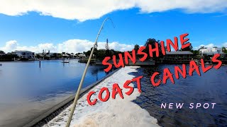 Fishing Pelican Waters and Surrounds - Sunshine Coast Fishing