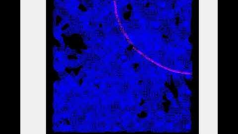 Propagation Velocity Tracking