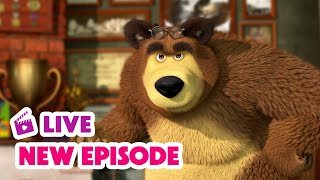 🔴 LIVE STREAM 🎬 Masha and the Bear 🆕 New Episode 🙊 Who's the Boss? 🐼😤