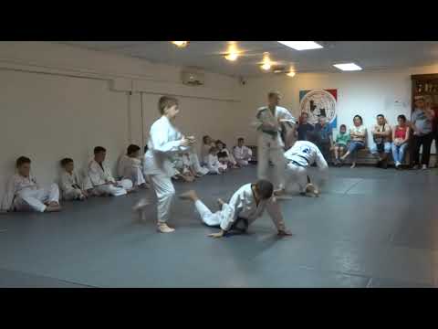 Klub realnog aikidoa i jujutsu Novi Sad Polaganje za zvanja jun 2019 III, IV grupa, odrasli 17/24