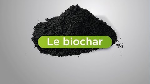 Bio360 2025 : Le biochar dans le Global South …