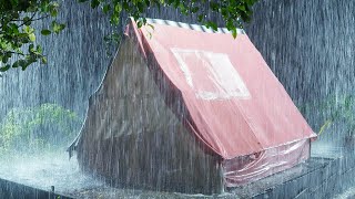 Listen & Fall Asleep in Minutes with Pure Heavy Rainfall on Tent & Loud Thunder in Forest at Night