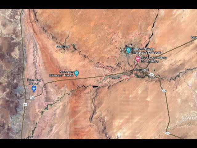 Navajo Dinosaur and Human Tracks