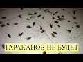 Многие и не знают, что от ТАРАКАНОВ можно избавиться так