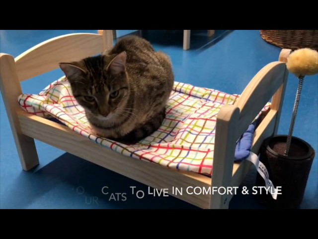 Duktig Doll Beds – Thank you IKEA