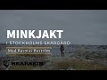 Minkjakt i Stockholms skärgård  2021.