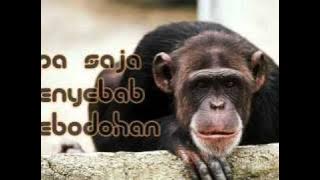 sheila on 7 - generasi patah hati