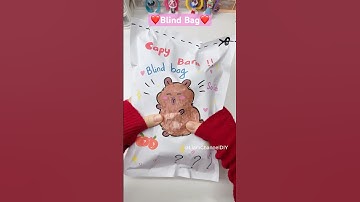 Túi mù Capybara bên trong có nhiều món cute❤️ / Blind Bag/ Liam Channel