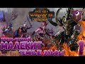 Total War: Warhammer 2 + Мод SFO (Легенда) - Малекит  #1