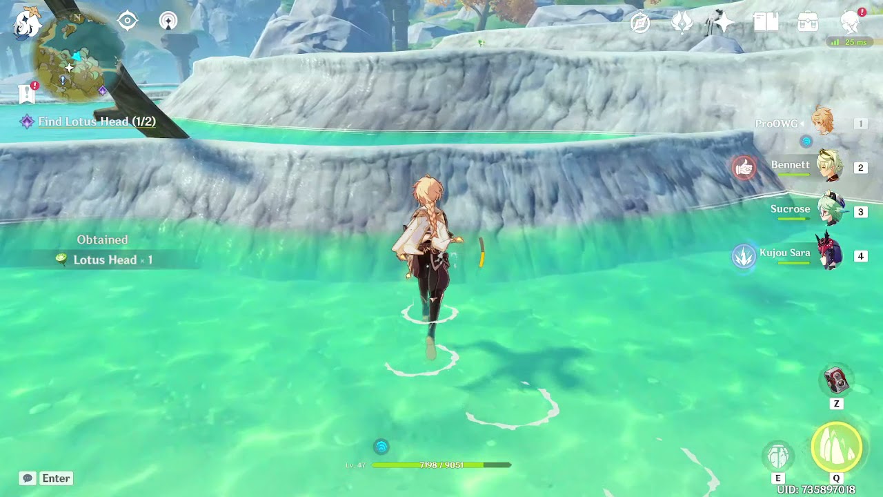 Genshin Impact Lotus Flower Locations YouTube