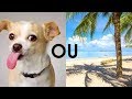 Bitch ou beach? A pronúncia correta de ee, ea e i