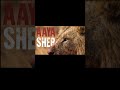 aaya sher paradise | Pspk💥💥#lyrics #pspk #telugusongs #paradise #nani #viralreels #masssong #folk