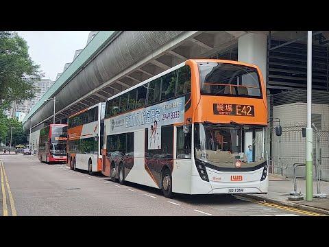 Download Hong Kong Bus LWB 5511 @ E42 龍運巴士 Alexander Dennis Enviro500 MMC New Facelift 博康 機場地面運輸中心