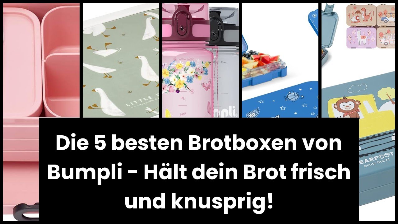 【BUMPLI BROTDOSE】Die 5 besten Brotboxen von Bumpli - Hält dein Brot frisch und knusprig! 🔥