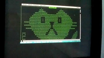 Gato en MS-DOS (Editor de Texto)