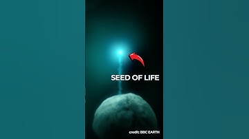 Scientists Warn Against Creating "Mirror Life"