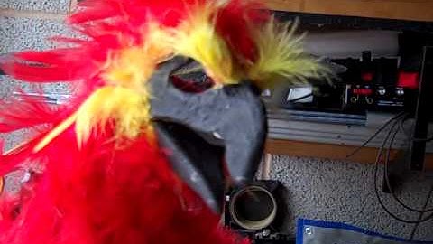 Animatronic Fawkes with pololu Maestre servos, Podpadstudios