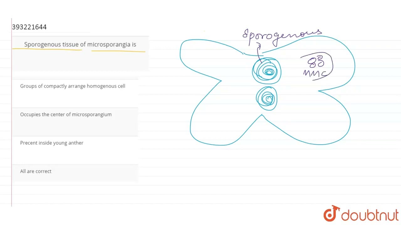 Sporogenous tissue of microsporangia is  | CLASS 11 | SEXUAL REPRODUCTION IN FLOWERING PLANTS |...