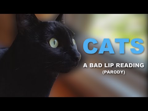 [parody]-"cats"-—-a-bad-lip-reading