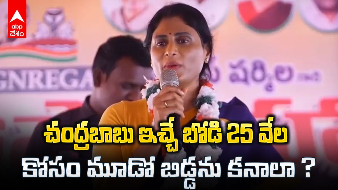 YS Sharmila about Population Policy | పాపులేషన్ పాలసీపై షర్మిల సెటైర్ | ABP Desam